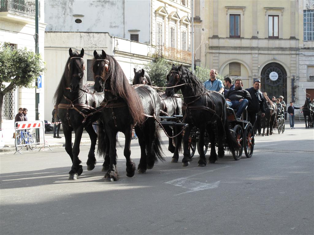 La 'Fiera di Santa Caterina d'Alessandria'