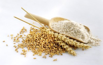 Una nuova tecnica per trovare il glutine negli alimenti Una nuova tecnica per trovare il glutine negli alimenti