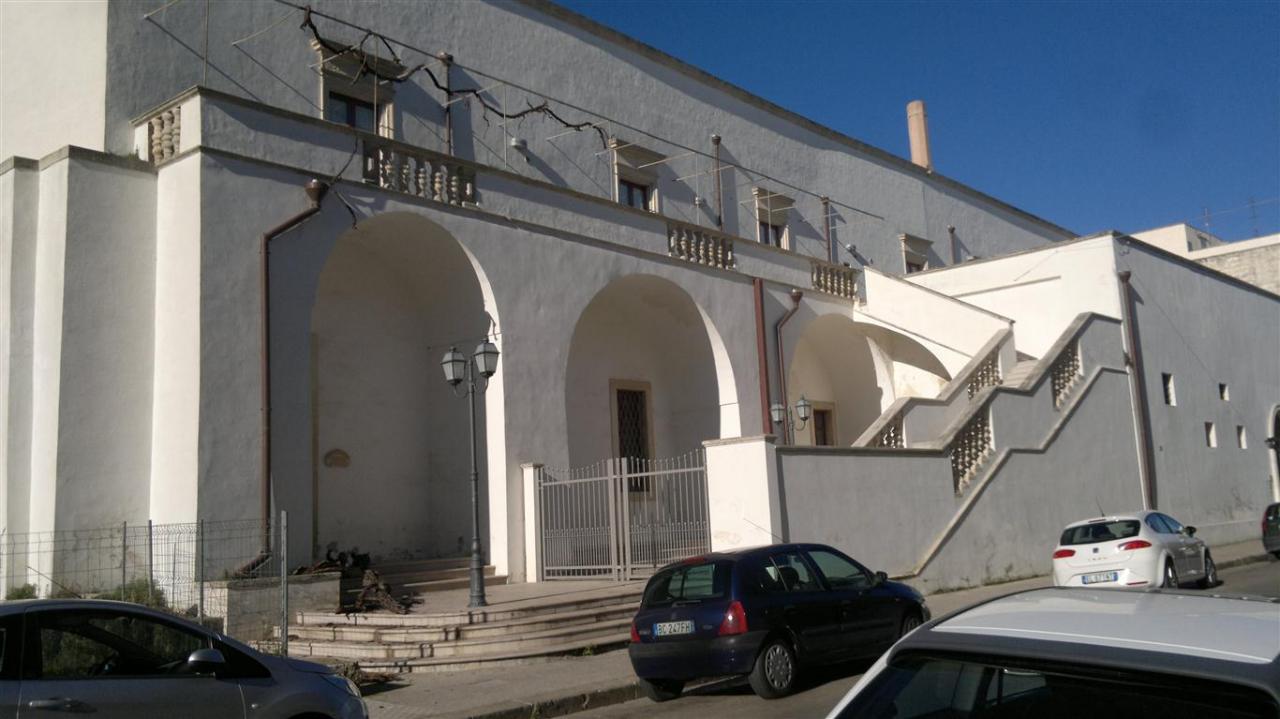 Quelle mani nodose hanno mollato la presa