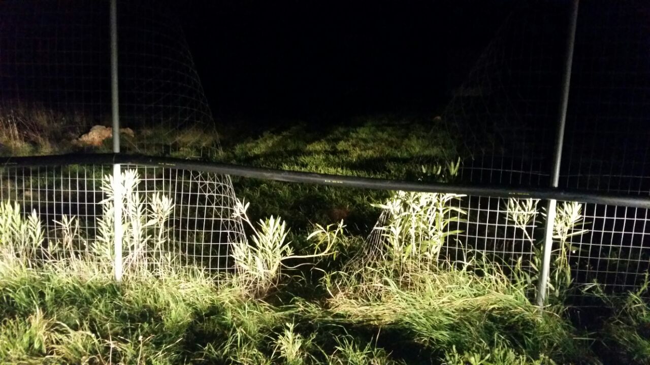 La Fidelpol riesce a sventare un furto di pannelli nel megacampo fotovoltaico di Noha