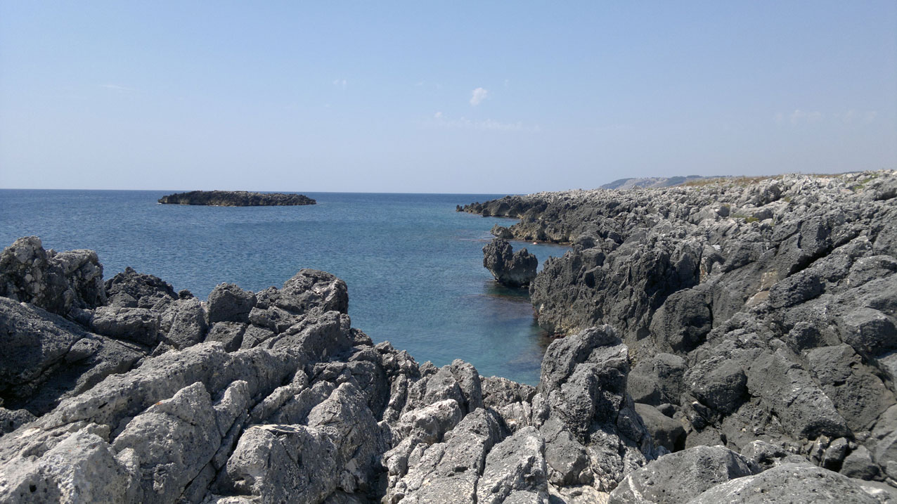 Il calendario 2015 e 'Biodiverso'