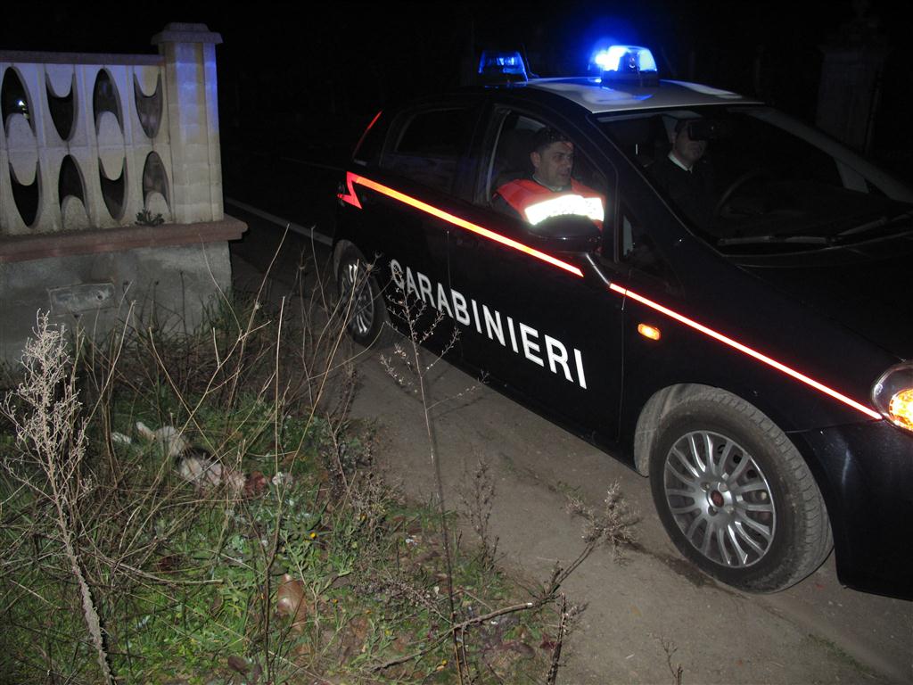 Punto contro camion per tentare di evitare un gatto