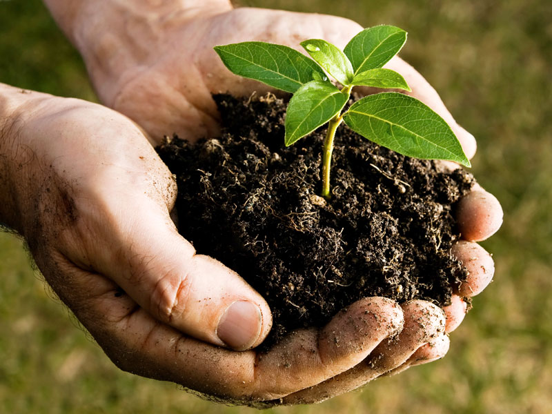 Chi farà i corsi di compostaggio? Chi farà i corsi di compostaggio?