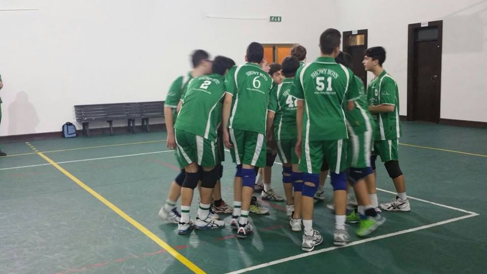 Giovani Showy Boys in piena attività Giovani Showy Boys in piena attività