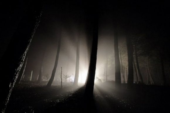Hanno preferito le tenebre alla luce Hanno preferito le tenebre alla luce