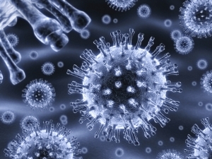 Nuove speranze nella lotta all'Aids Nuove speranze nella lotta all'Aids