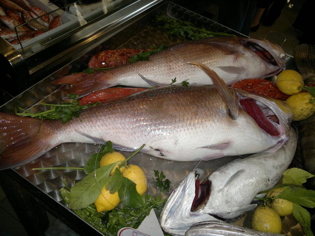 "Animatori per le vacanze cercansi"