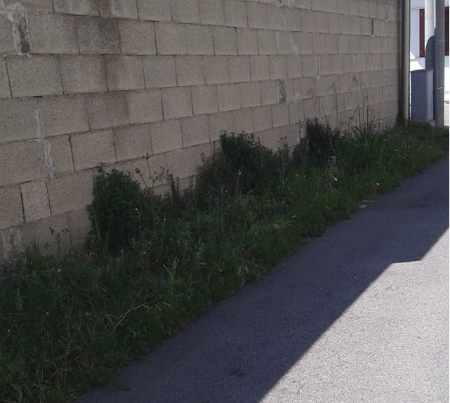 Erbe in via San Giovanni, la pulizia nei prossimi giorni