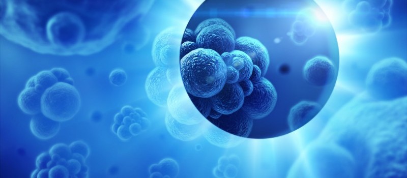 Cinquanta oncologi si confrontano a Lecce Cinquanta oncologi si confrontano a Lecce