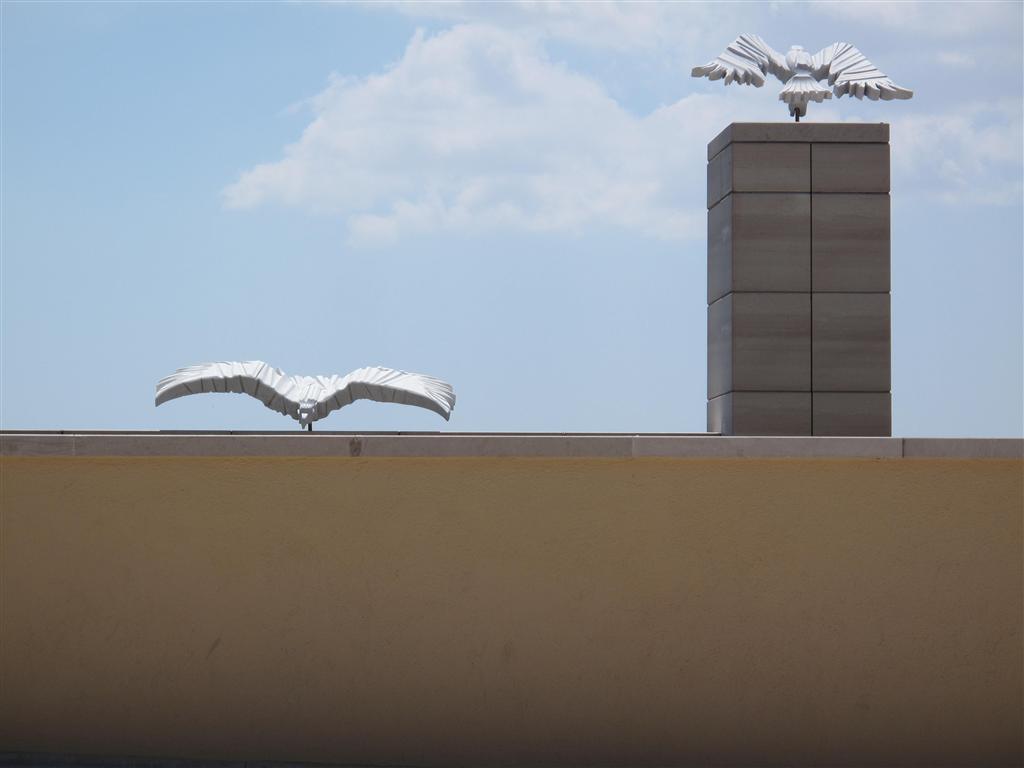In apparenza corporea, come di colomba