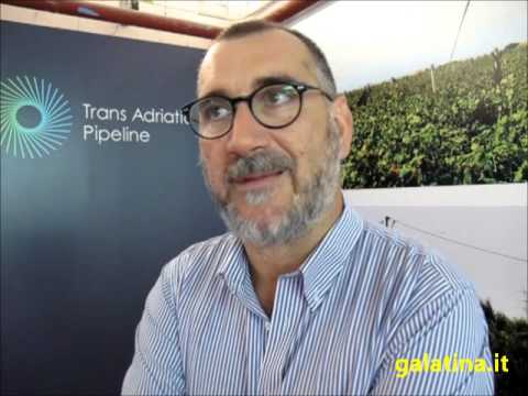"Entro agosto le selezioni per il Servizio Civile a Galatina" "Entro agosto le selezioni per il Servizio Civile a Galatina"