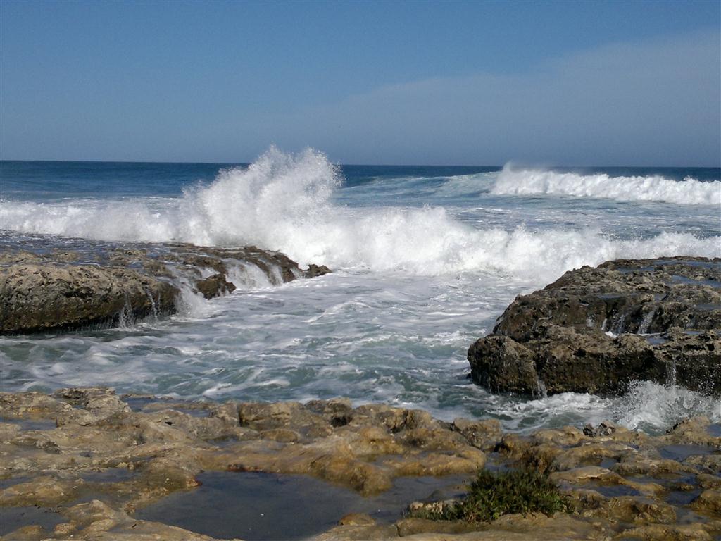 «Chi è dunque costui, al quale anche il vento e il mare obbediscono?» «Chi è dunque costui, al quale anche il vento e il mare obbediscono?»