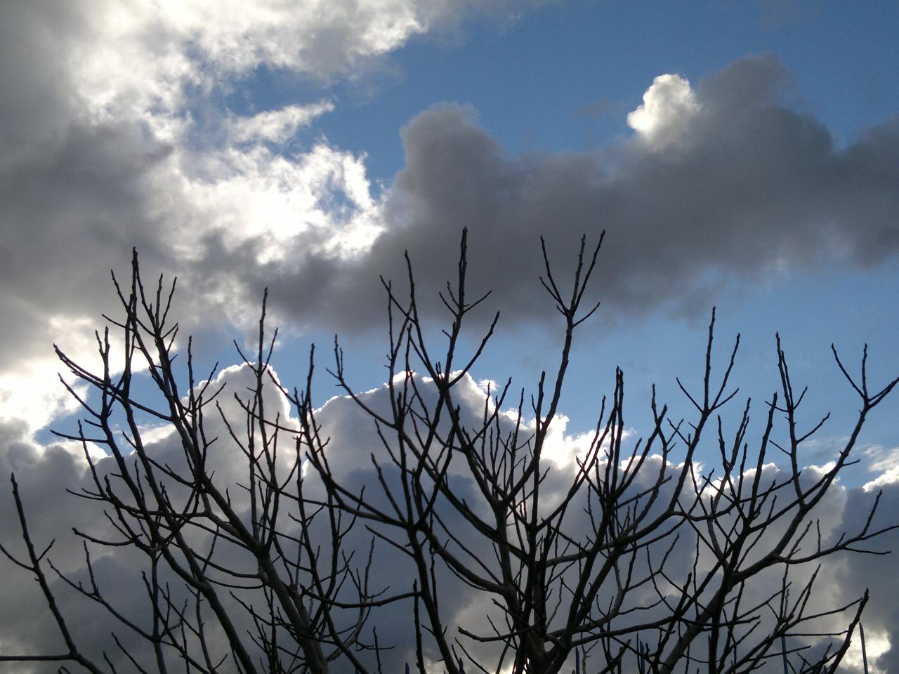 Sophie Hutchings - By Night (Night Sky) 