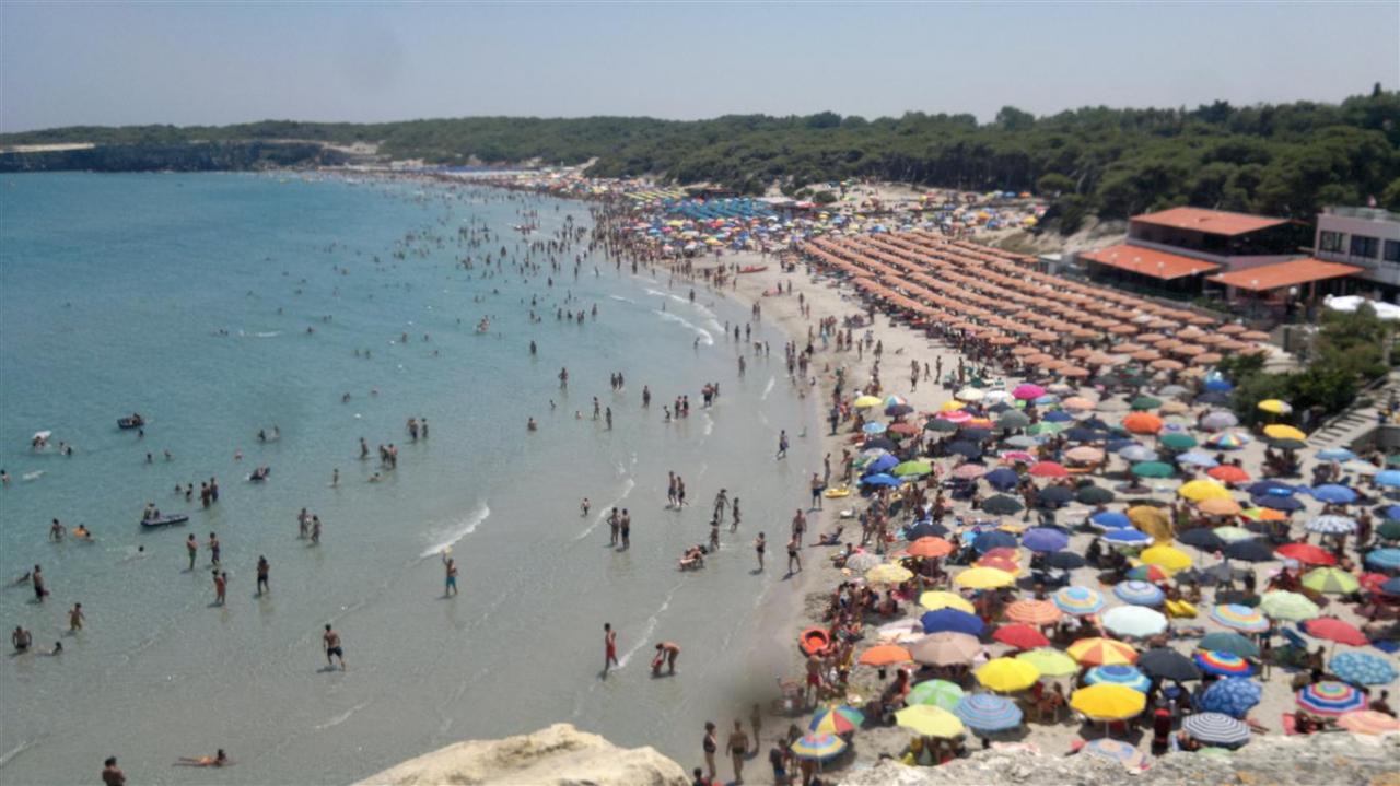 'Liberata' dai campeggiatori abusivi la pineta di Torre dell'Orso 'Liberata' dai campeggiatori abusivi la pineta di Torre dell'Orso