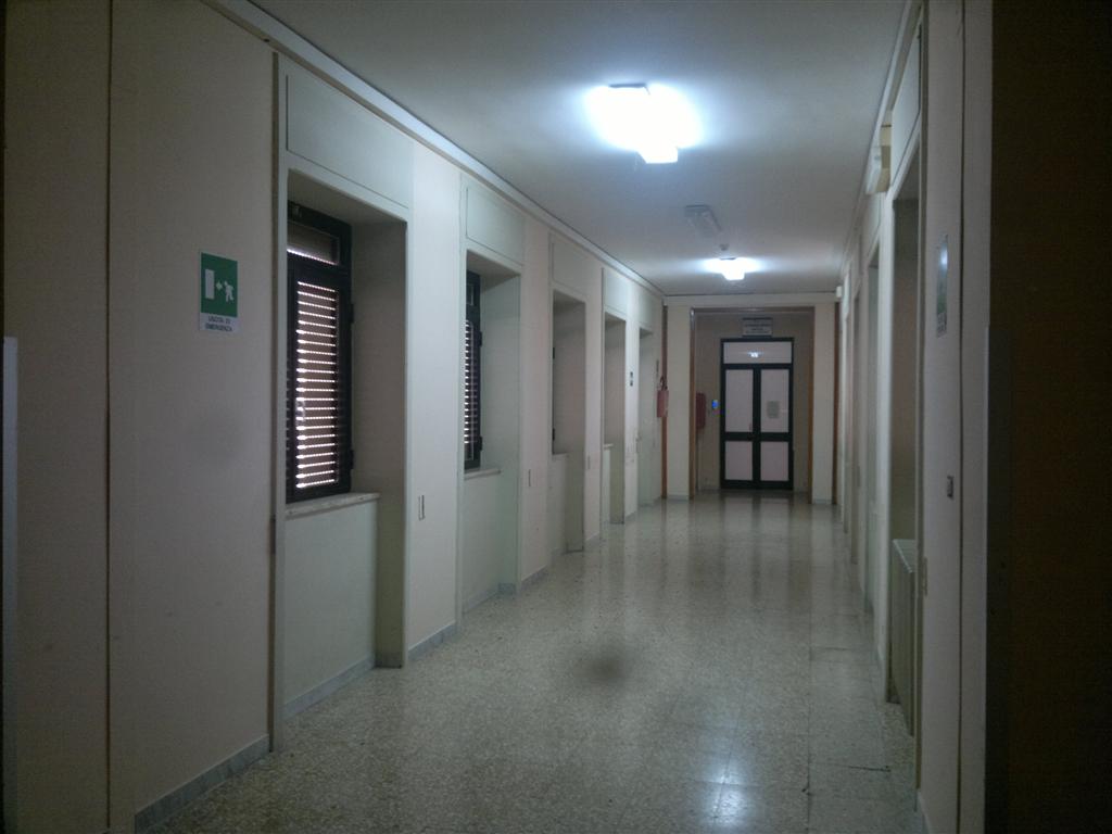 Rientrato l'allarme api nell'Ospedale di Galatina