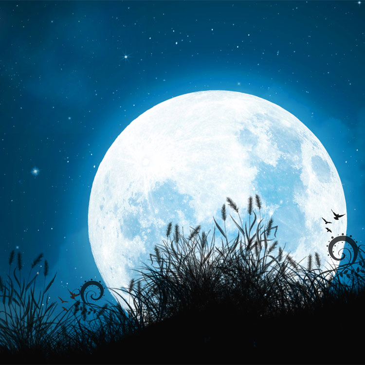 L’amore del cielo per la luna