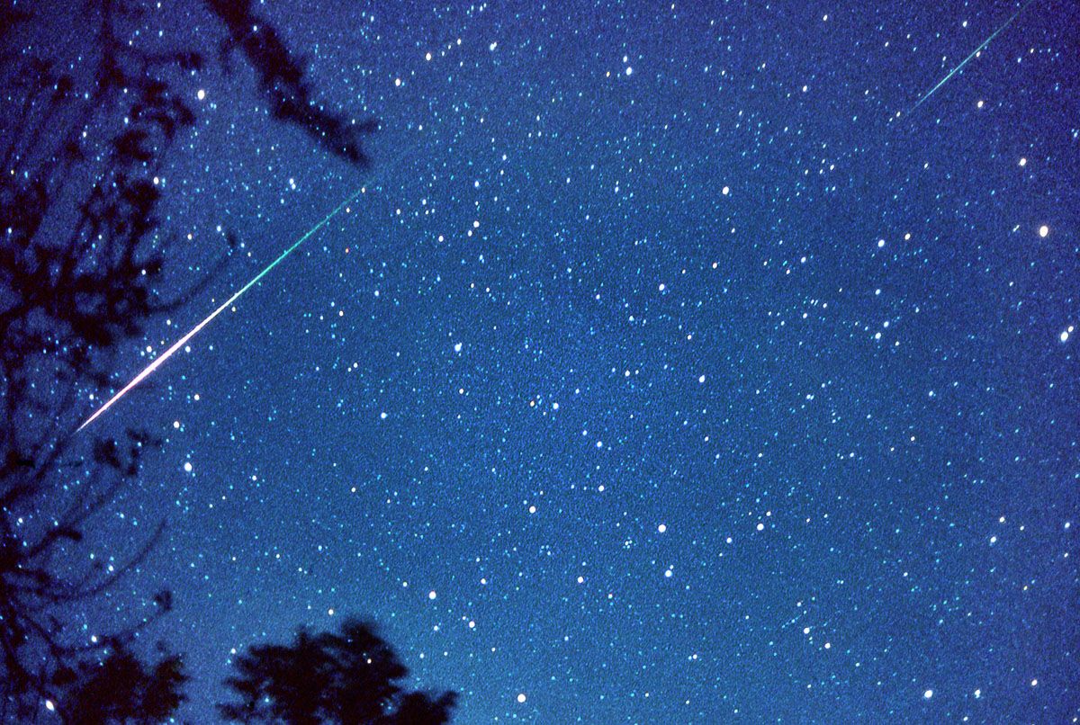 Disinfestare nella notte delle stelle cadenti Disinfestare nella notte delle stelle cadenti