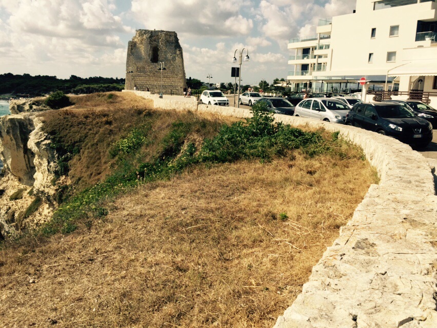 Da Galatina e Bologna per pulire Torre dell'Orso