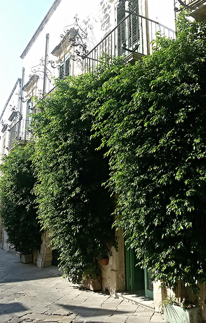 &quot;Galatina che non ti aspetteresti...&quot; 