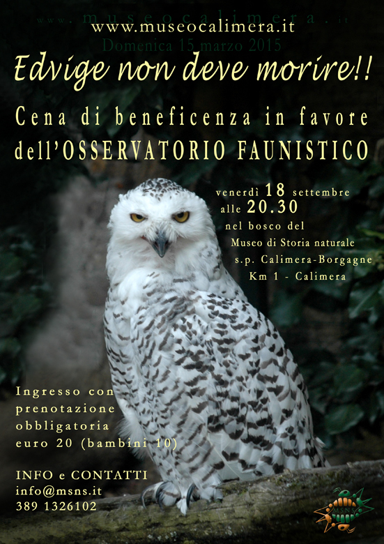 L'ultima cena al Museo di Storia Naturale