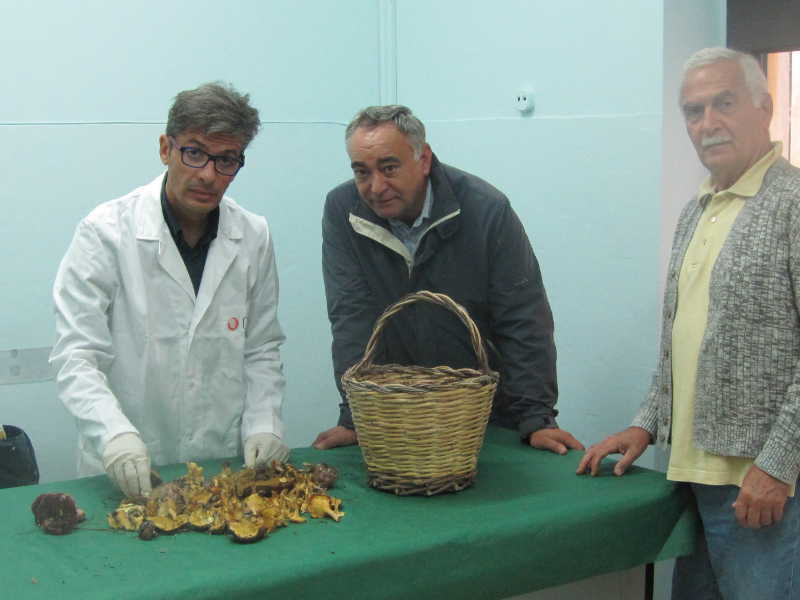 Attenti ai mariddhruni! Non sono commestibili