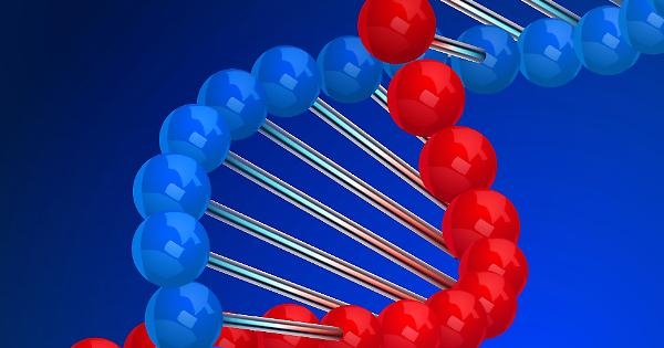 Italiana la scoperta di una nuova sostanza blocca-tumori