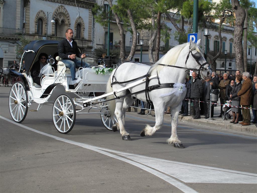 La nuova Fiera di Santa Caterina ha vent'anni