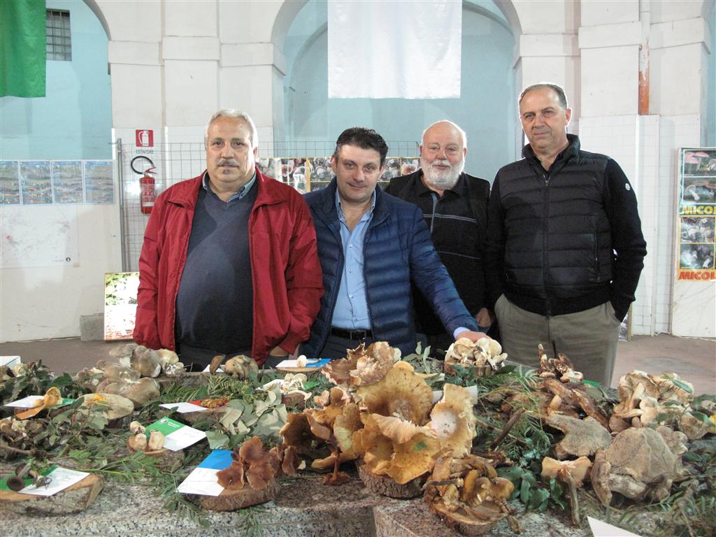 A Galatina tutti i funghi del Salento