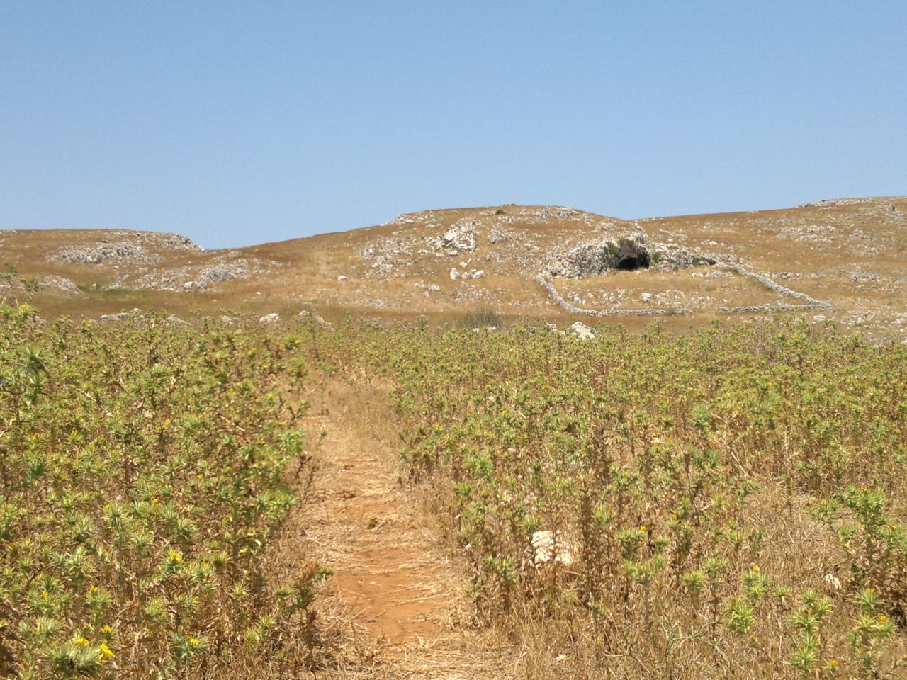  Raddrizzate i suoi sentieri! 