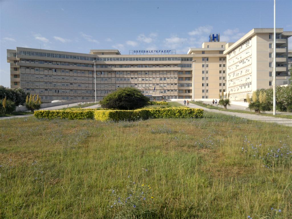 Sempre disperate le condizioni del bambino colpito da meningite e in rianimazione al Fazzi Sempre disperate le condizioni del bambino colpito da meningite e in rianimazione al Fazzi