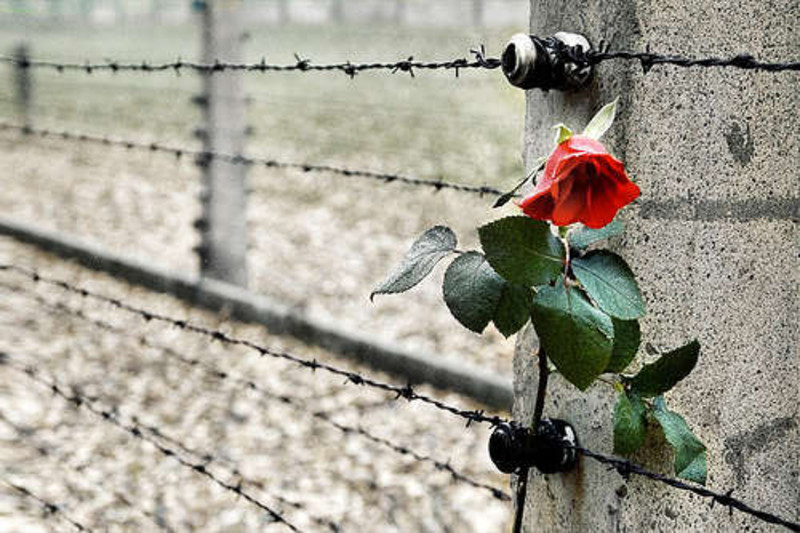 Al Cavallino Bianco la Giornata della Memoria Al Cavallino Bianco la Giornata della Memoria