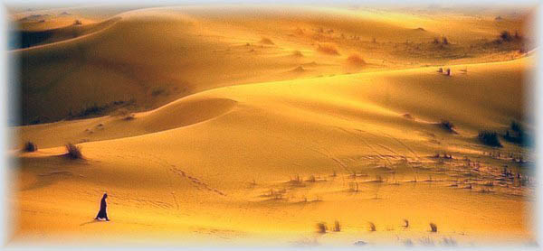 Fu condotto dallo Spirito nel deserto Fu condotto dallo Spirito nel deserto