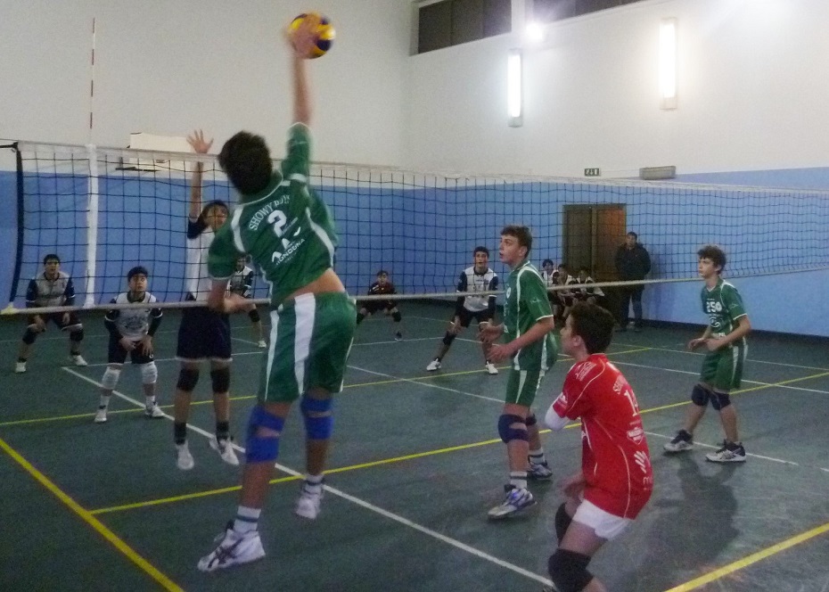 Ottimi risultati delle giovanili Showy-boys