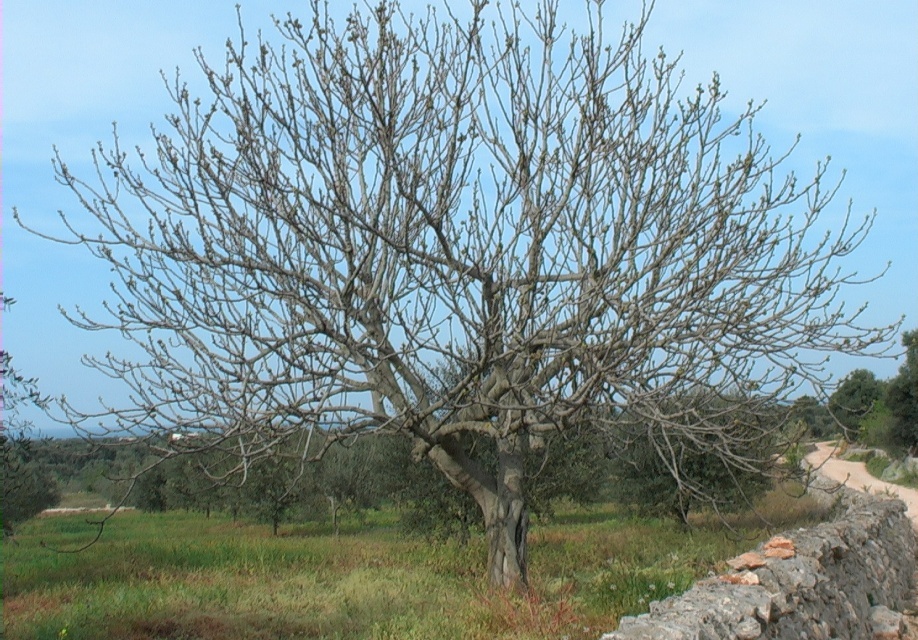 Lascialo ancora quest'anno Lascialo ancora quest'anno