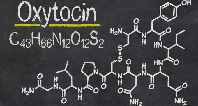 Combattere il dolore con l'ossitocina