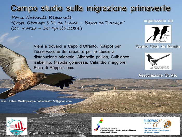 Uccelli migratori, un campo studi nel Parco Costa Otranto Santa Maria di Leuca – Bosco di Tricase