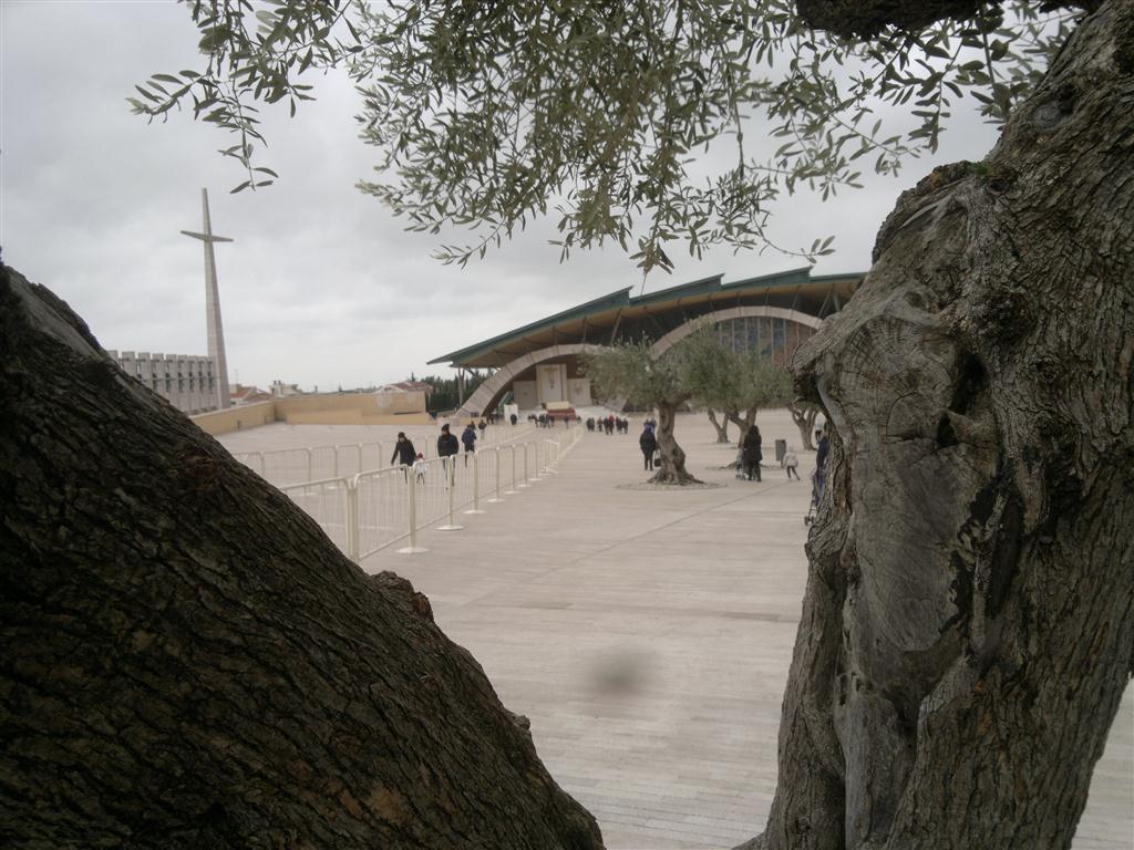 La morte è uno sguardo