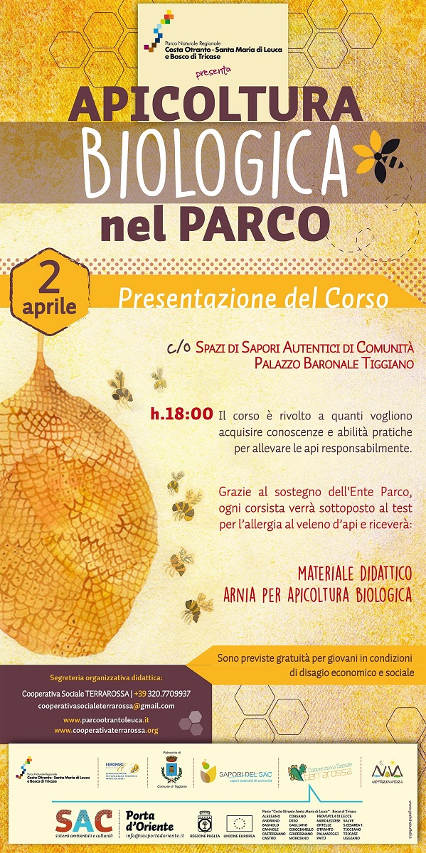 Vuoi diventare apicultore? Te lo insegna il Parco