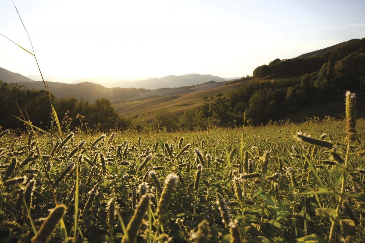 Preferire il cielo alla terra