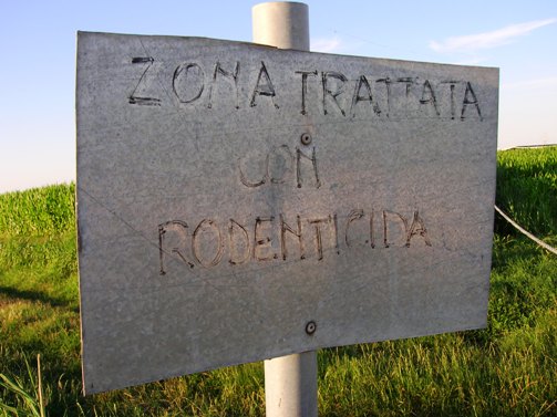 Basta veleni nelle campagne di Galatina! Basta veleni nelle campagne di Galatina!