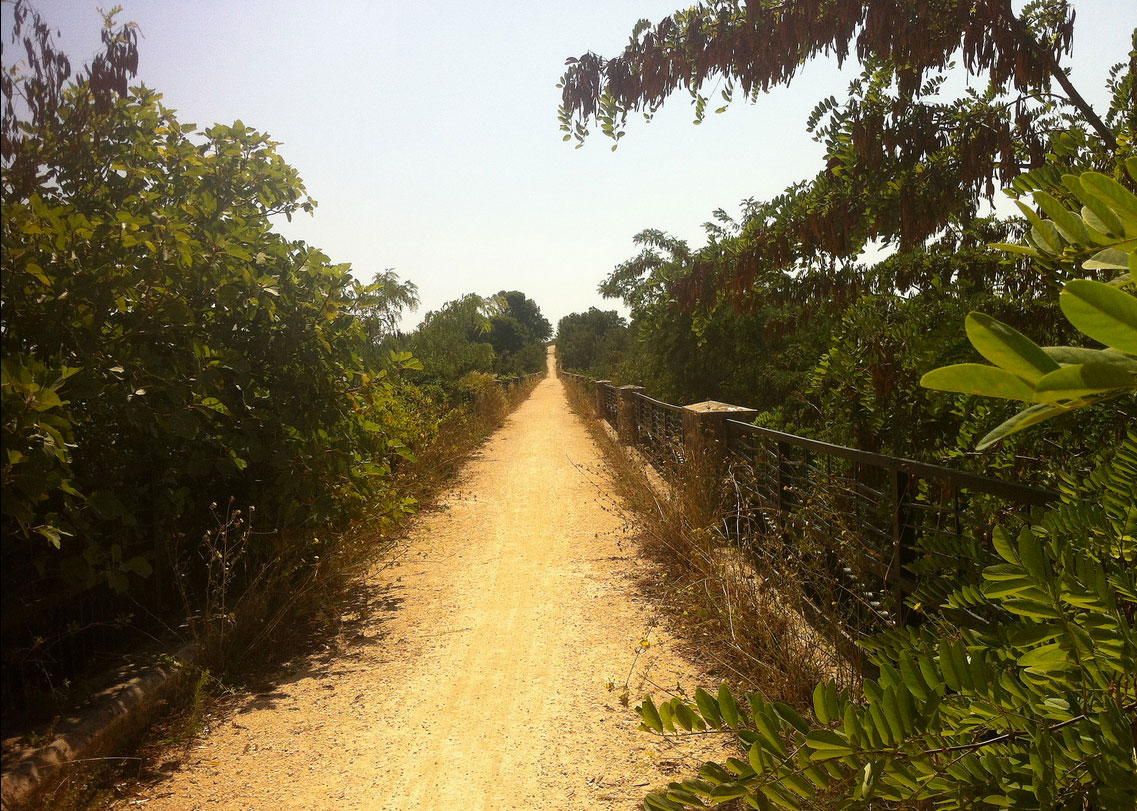 Ciclovia dell'Acquedotto, arrivano i primi cicloturisti