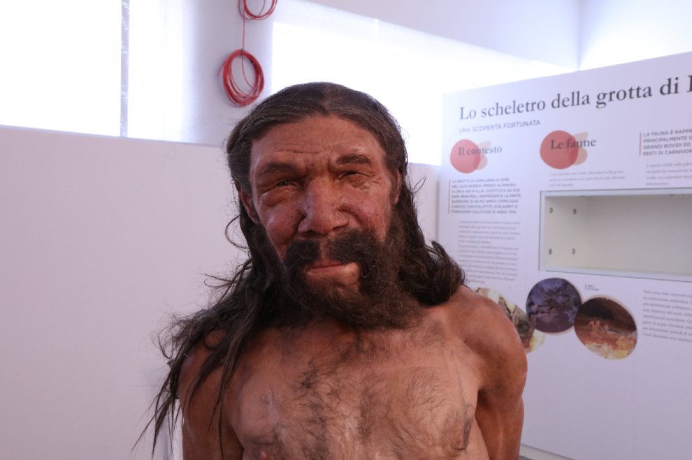 Il volto dell'uomo di Altamura