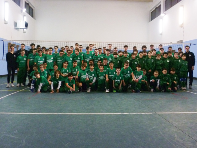 Showy, un ottimo bilancio di stagione