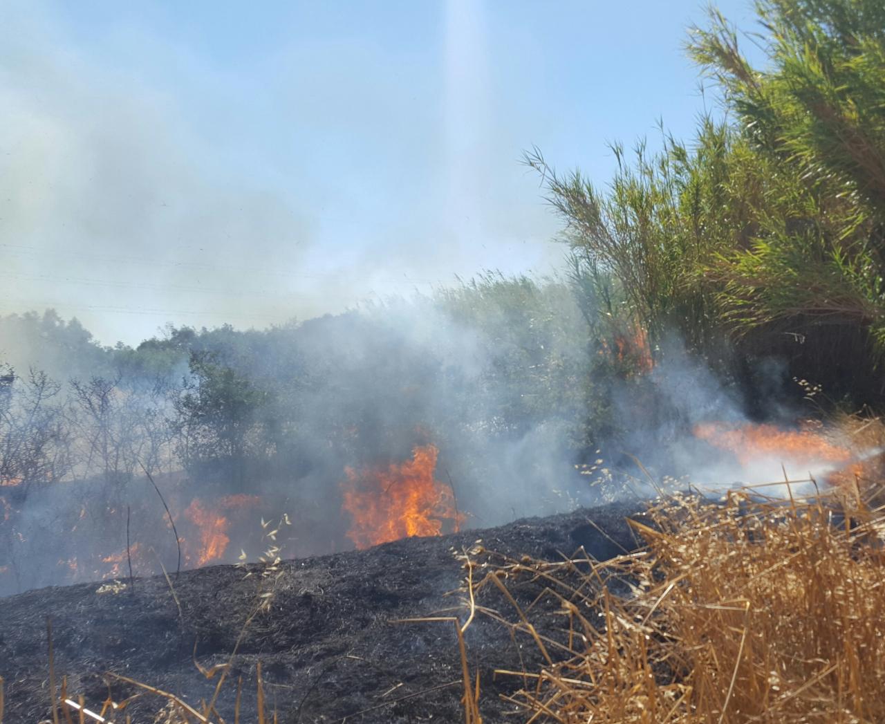 Incendio intorno al canale dell'Asso, un pomeriggio di paura per gli abitanti della zona Incendio intorno al canale dell'Asso, un pomeriggio di paura per gli abitanti della zona