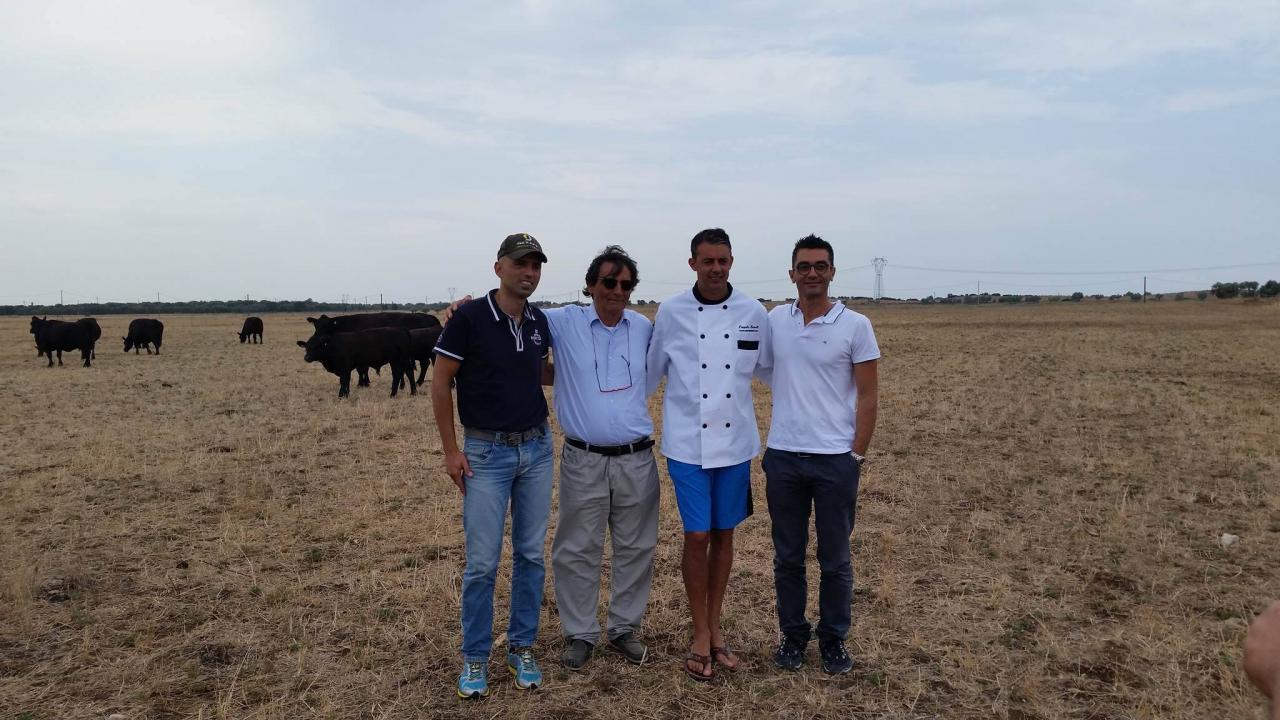 L'angus salentino alla conquista degli Usa