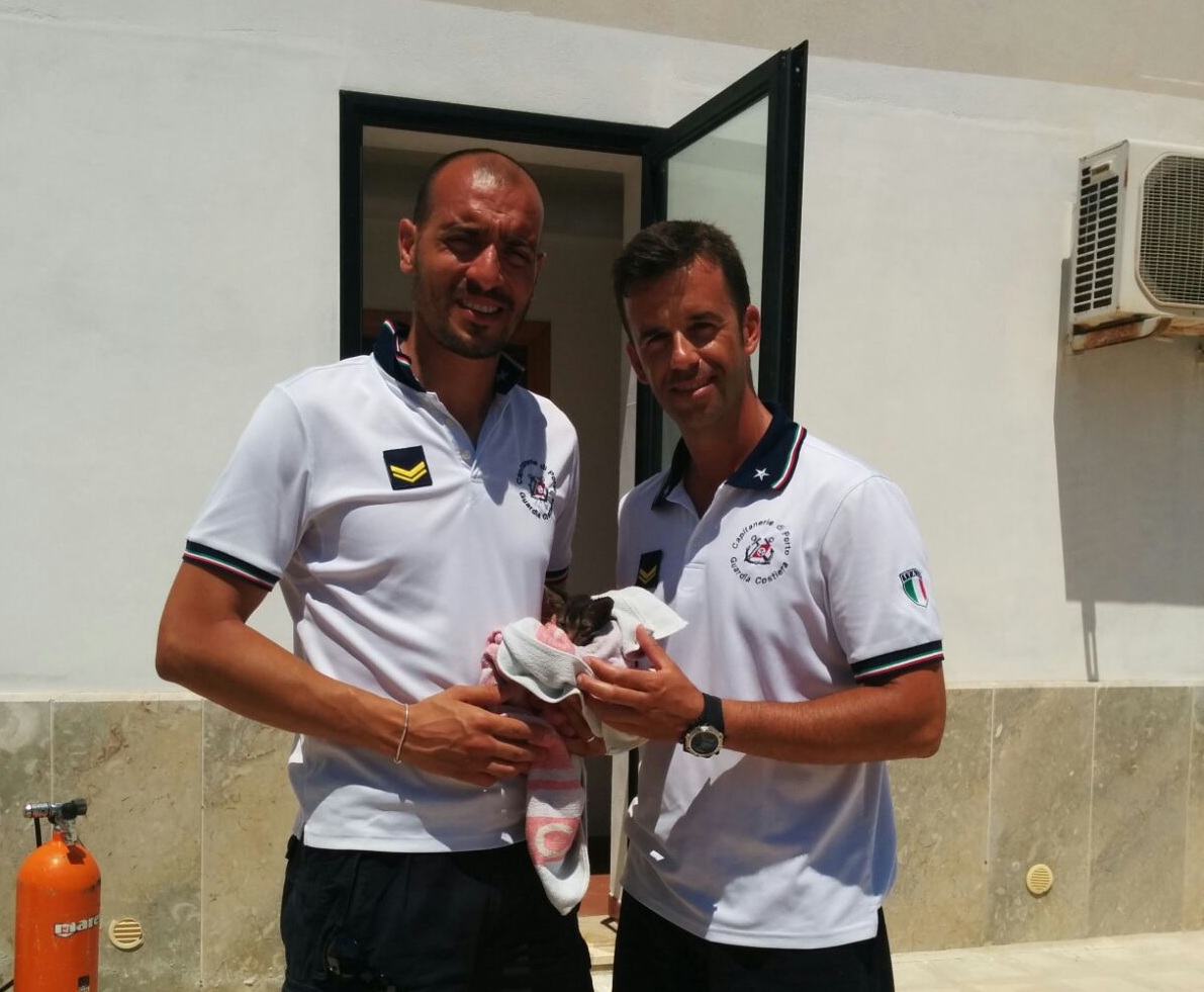 Gattino salvato dalla Guardia costiera