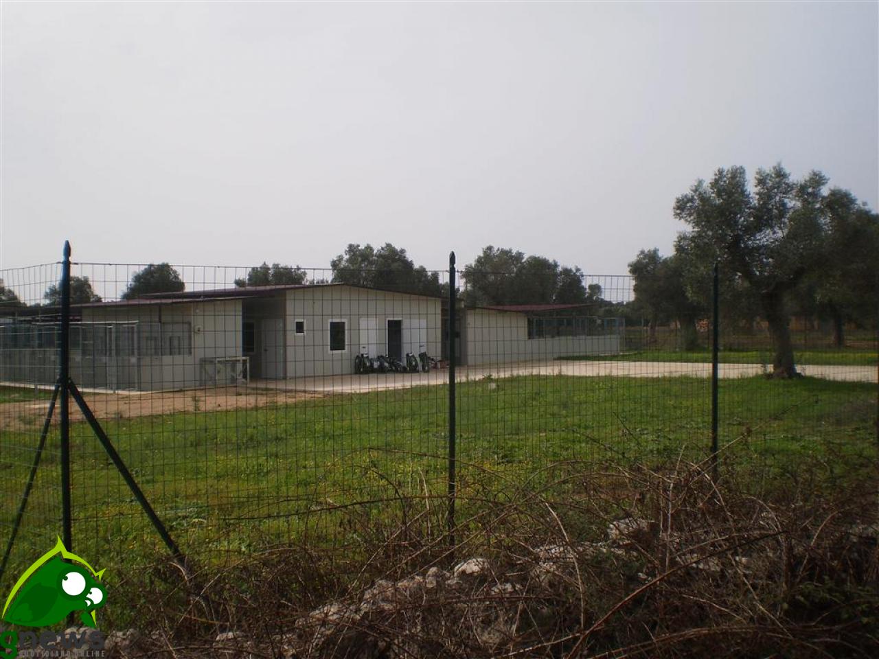 Chiuso il canile-lager di Latronica