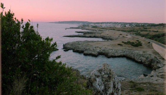 Sequestrato dalla Finanza discobar alla Reggia