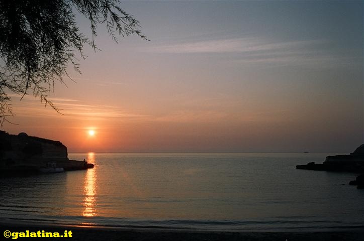 “La bellezza salverà il mondo” 