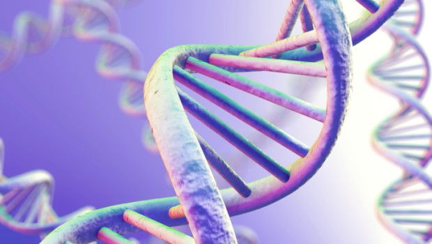 Come cresce la cellula